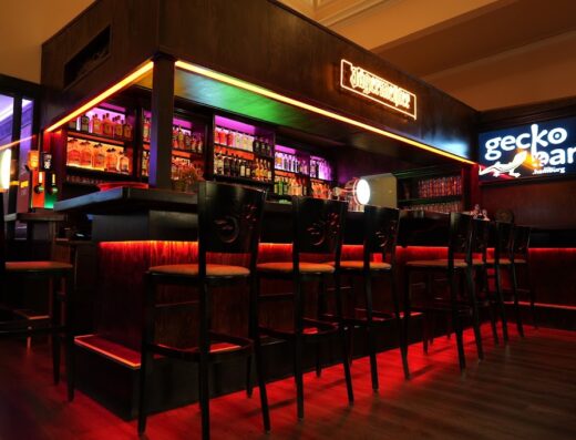 Gecko-Bar | Die Erlebnisbar