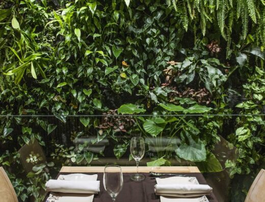 Restaurante Terraza De La O | Cocina Andaluza en Sevilla