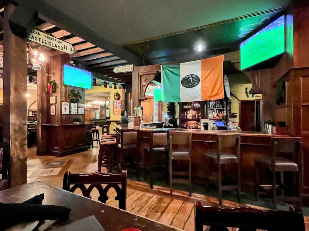 Philadelphia Football Travel Guide: Stadium, Hotels, Transport and Matchday Tips 10 tir na nog 3