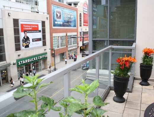 Yonge Suites